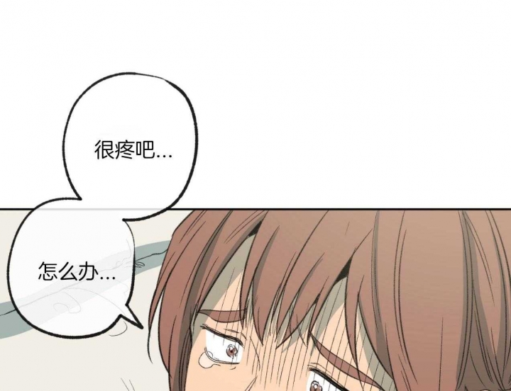 《走失的夜(第I+II季)》漫画最新章节第183话免费下拉式在线观看章节第【34】张图片