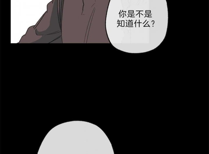 《走失的夜(第I+II季)》漫画最新章节第133话免费下拉式在线观看章节第【10】张图片