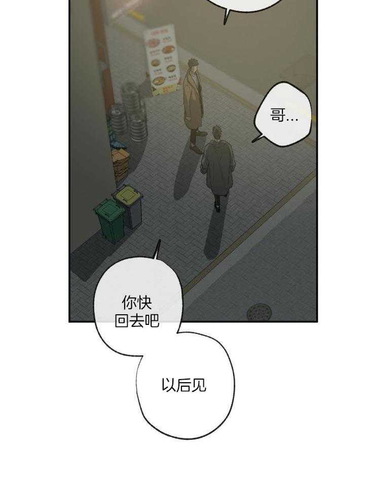 《走失的夜(第I+II季)》漫画最新章节第206话免费下拉式在线观看章节第【17】张图片