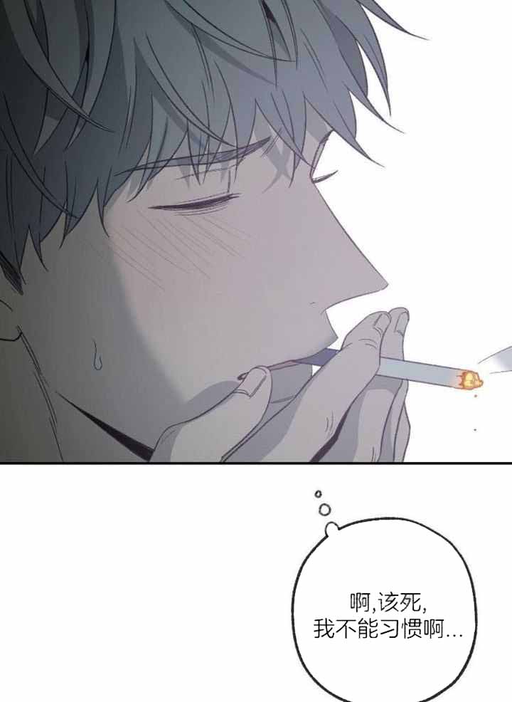 《走失的夜(第I+II季)》漫画最新章节第229话免费下拉式在线观看章节第【6】张图片