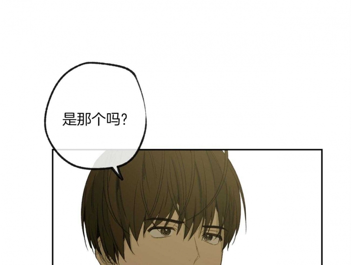 《走失的夜(第I+II季)》漫画最新章节第168话免费下拉式在线观看章节第【34】张图片