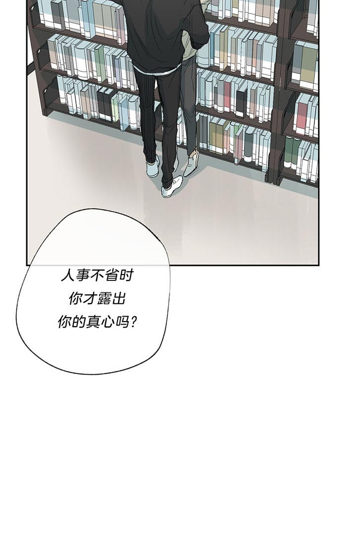 《走失的夜(第I+II季)》漫画最新章节第73话免费下拉式在线观看章节第【7】张图片