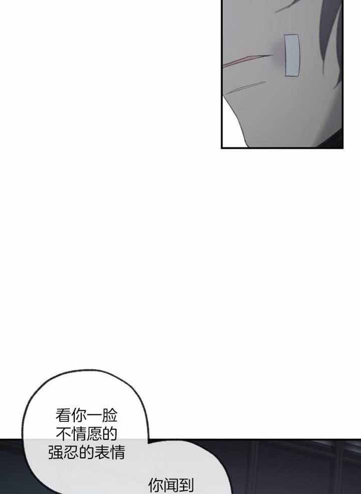 《走失的夜(第I+II季)》漫画最新章节第229话免费下拉式在线观看章节第【10】张图片