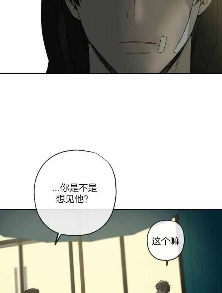 《走失的夜(第I+II季)》漫画最新章节第202话免费下拉式在线观看章节第【26】张图片