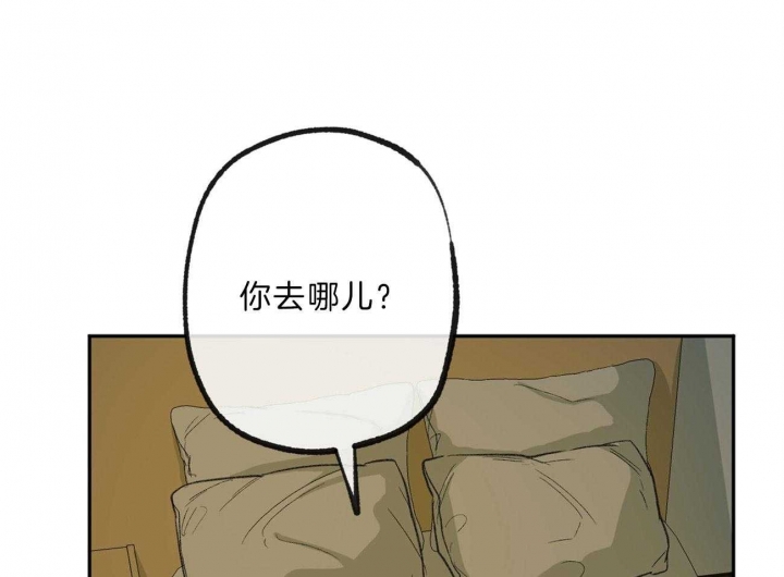 《走失的夜(第I+II季)》漫画最新章节第137话免费下拉式在线观看章节第【44】张图片