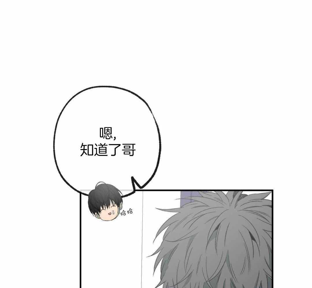 《走失的夜(第I+II季)》漫画最新章节第231话免费下拉式在线观看章节第【25】张图片