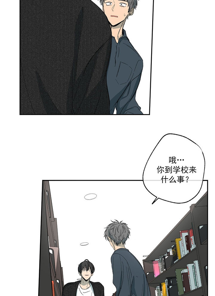 《走失的夜(第I+II季)》漫画最新章节第19话免费下拉式在线观看章节第【25】张图片