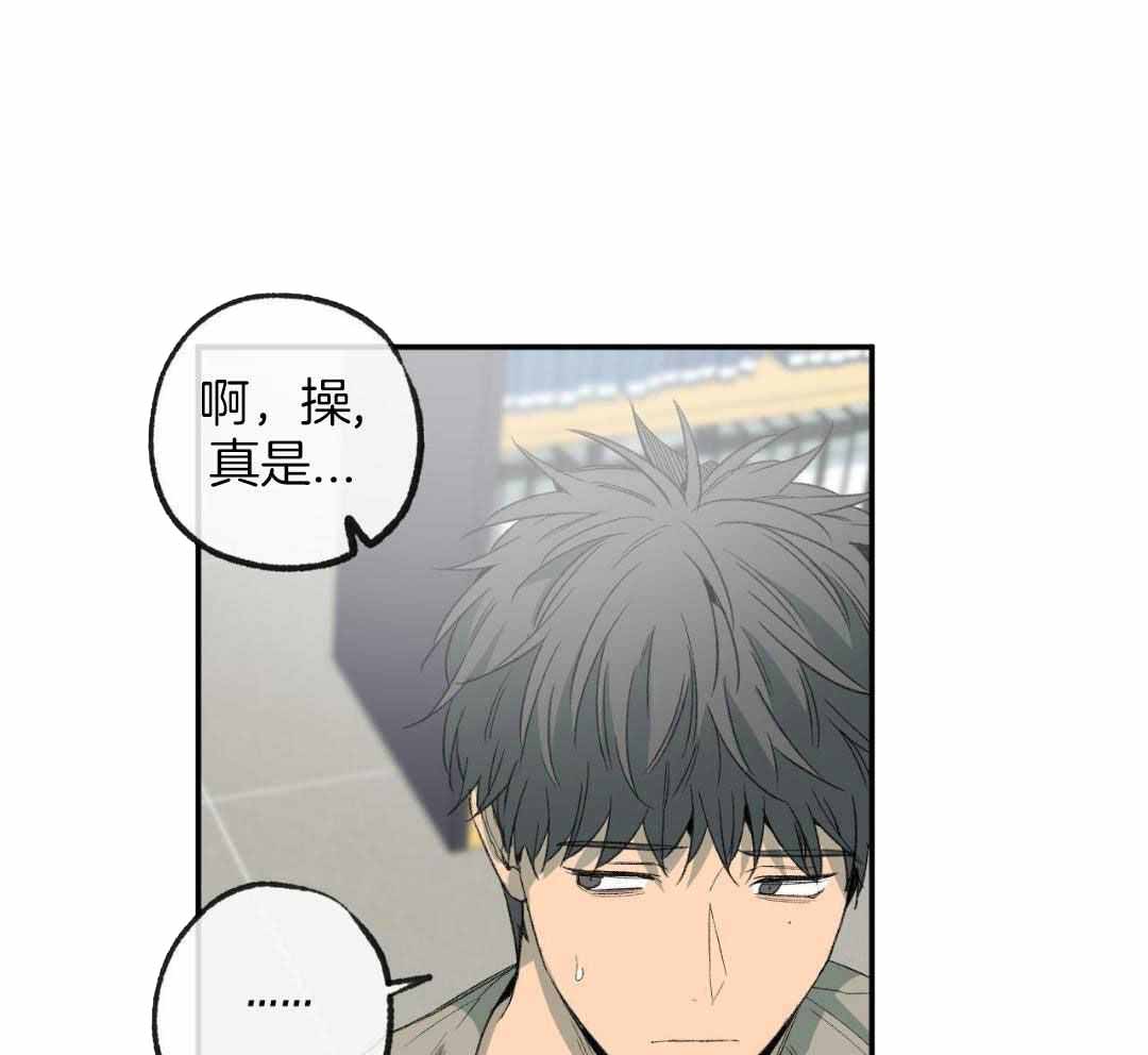 《走失的夜(第I+II季)》漫画最新章节第230话免费下拉式在线观看章节第【10】张图片