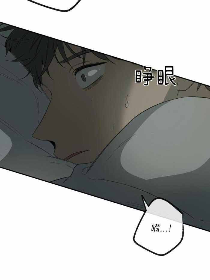 《走失的夜(第I+II季)》漫画最新章节第214话免费下拉式在线观看章节第【8】张图片