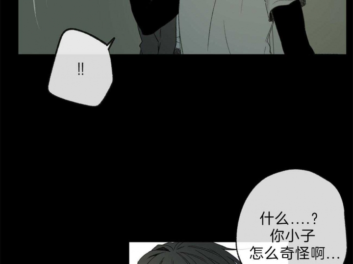 《走失的夜(第I+II季)》漫画最新章节第131话免费下拉式在线观看章节第【46】张图片