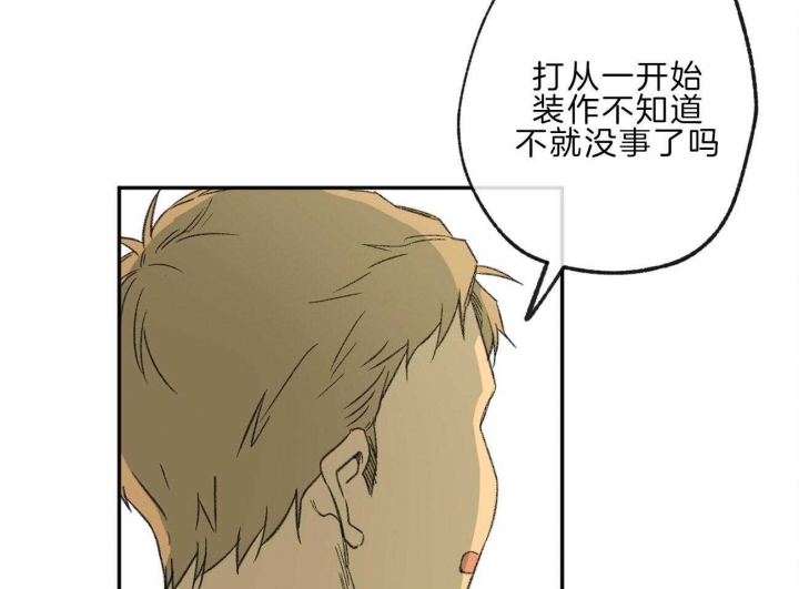 《走失的夜(第I+II季)》漫画最新章节第143话免费下拉式在线观看章节第【30】张图片