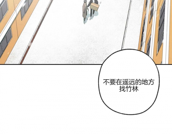 《走失的夜(第I+II季)》漫画最新章节第196话免费下拉式在线观看章节第【36】张图片