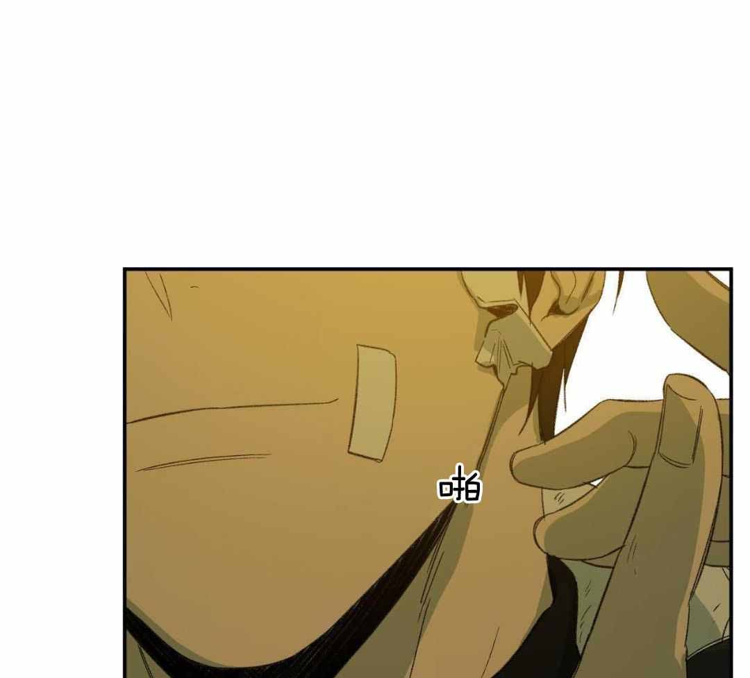 《走失的夜(第I+II季)》漫画最新章节第236话免费下拉式在线观看章节第【29】张图片