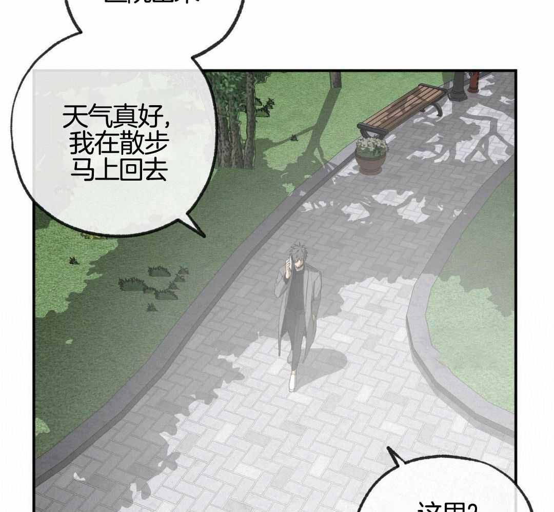 《走失的夜(第I+II季)》漫画最新章节第235话免费下拉式在线观看章节第【11】张图片