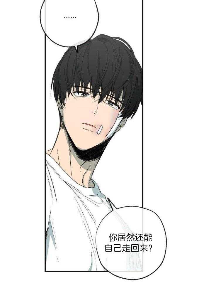 《走失的夜(第I+II季)》漫画最新章节第207话免费下拉式在线观看章节第【15】张图片