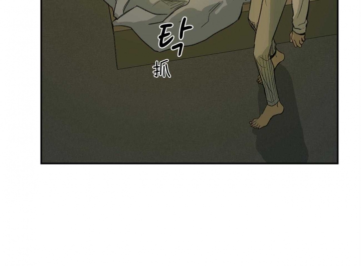 《走失的夜(第I+II季)》漫画最新章节第137话免费下拉式在线观看章节第【46】张图片