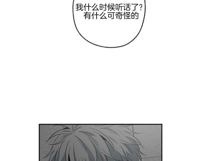 《走失的夜(第I+II季)》漫画最新章节第194话免费下拉式在线观看章节第【12】张图片