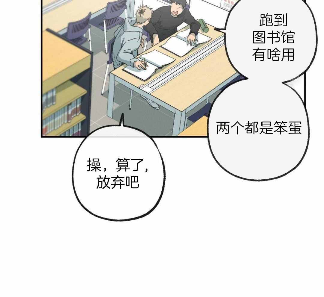 《走失的夜(第I+II季)》漫画最新章节第230话免费下拉式在线观看章节第【12】张图片