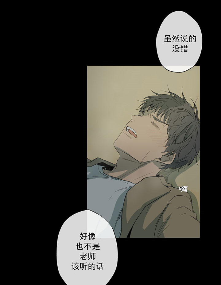 《走失的夜(第I+II季)》漫画最新章节第47话免费下拉式在线观看章节第【17】张图片