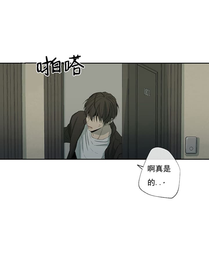 《走失的夜(第I+II季)》漫画最新章节第66话免费下拉式在线观看章节第【20】张图片