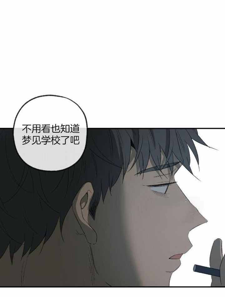 《走失的夜(第I+II季)》漫画最新章节第228话免费下拉式在线观看章节第【14】张图片