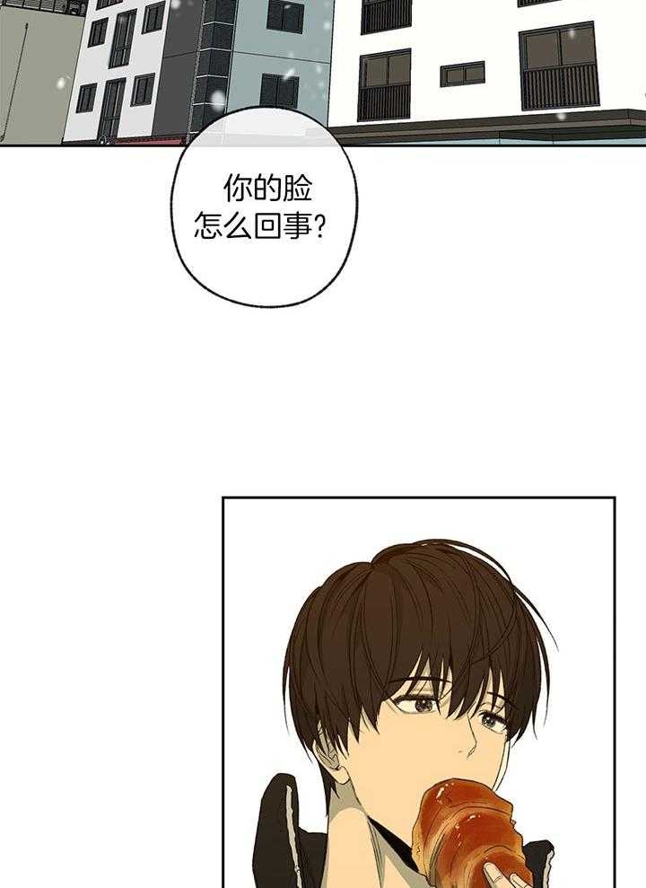 《走失的夜(第I+II季)》漫画最新章节第197话免费下拉式在线观看章节第【2】张图片