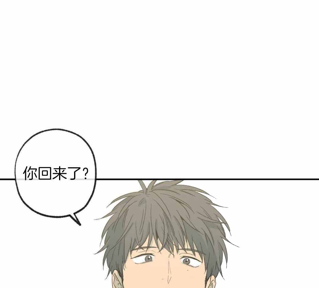 《走失的夜(第I+II季)》漫画最新章节第236话免费下拉式在线观看章节第【32】张图片