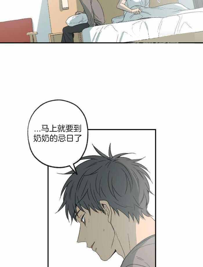 《走失的夜(第I+II季)》漫画最新章节第220话免费下拉式在线观看章节第【22】张图片