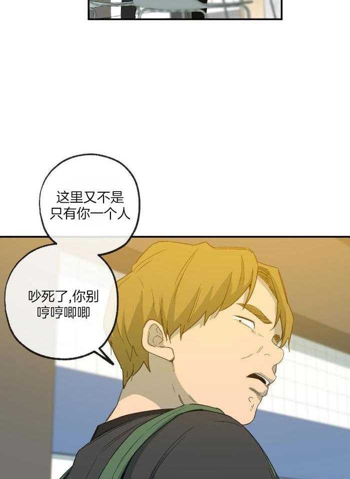 《走失的夜(第I+II季)》漫画最新章节第223话免费下拉式在线观看章节第【13】张图片