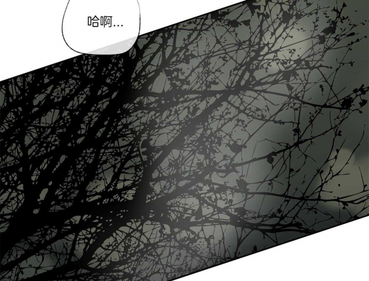 《走失的夜(第I+II季)》漫画最新章节第96话免费下拉式在线观看章节第【32】张图片