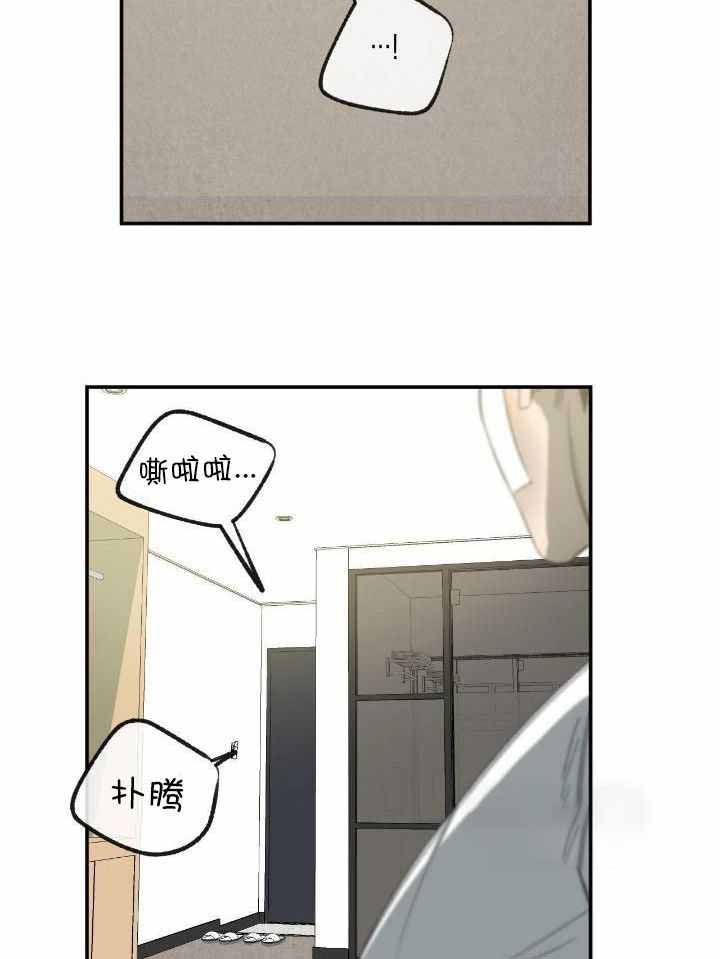 《走失的夜(第I+II季)》漫画最新章节第207话免费下拉式在线观看章节第【3】张图片