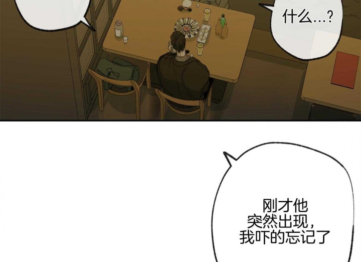 《走失的夜(第I+II季)》漫画最新章节第161话免费下拉式在线观看章节第【49】张图片