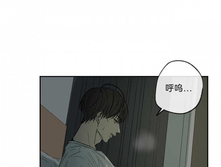 《走失的夜(第I+II季)》漫画最新章节第146话免费下拉式在线观看章节第【29】张图片