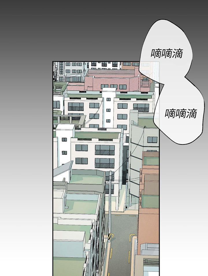 《走失的夜(第I+II季)》漫画最新章节第46话免费下拉式在线观看章节第【12】张图片