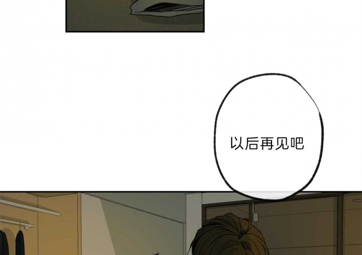 《走失的夜(第I+II季)》漫画最新章节第137话免费下拉式在线观看章节第【56】张图片