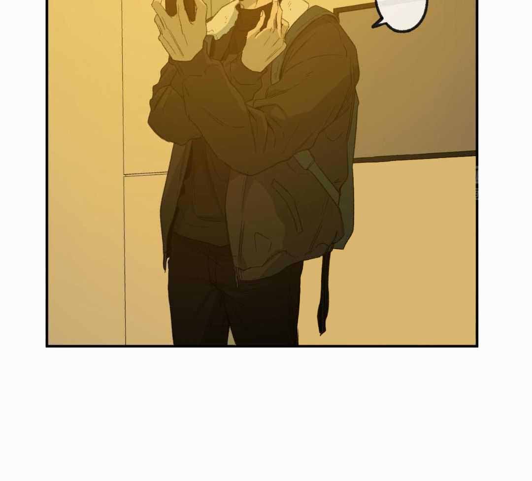 《走失的夜(第I+II季)》漫画最新章节第236话免费下拉式在线观看章节第【31】张图片