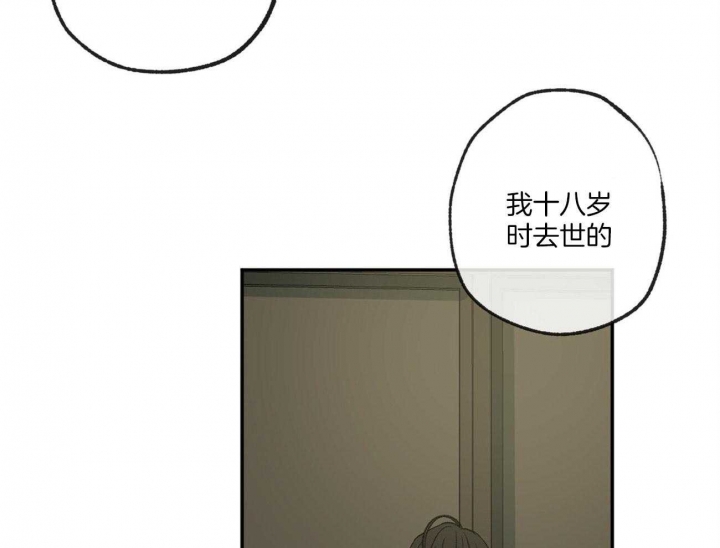 《走失的夜(第I+II季)》漫画最新章节第121话免费下拉式在线观看章节第【24】张图片