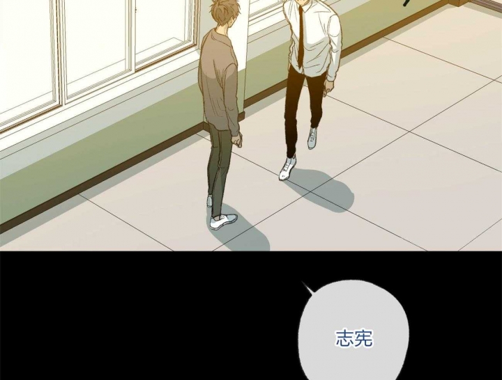 《走失的夜(第I+II季)》漫画最新章节第164话免费下拉式在线观看章节第【34】张图片