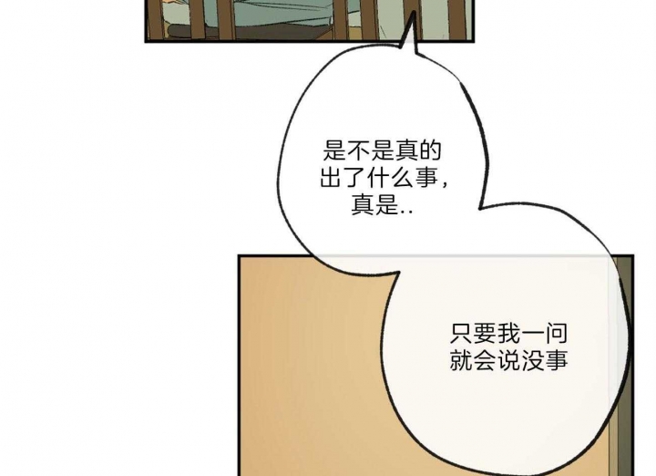 《走失的夜(第I+II季)》漫画最新章节第123话免费下拉式在线观看章节第【3】张图片