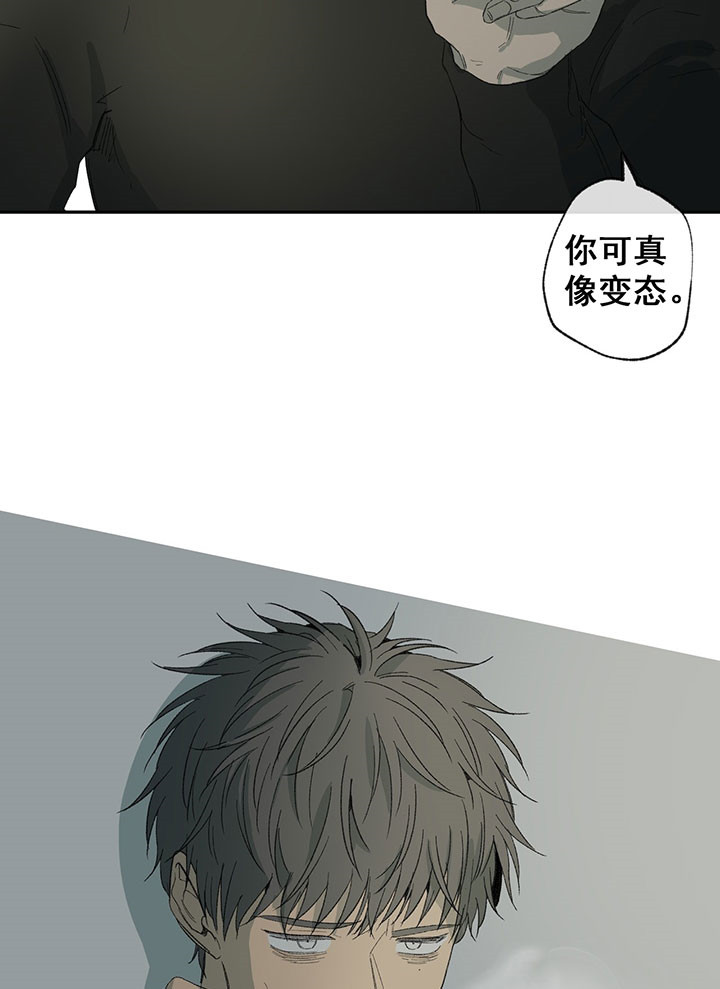 《走失的夜(第I+II季)》漫画最新章节第39话免费下拉式在线观看章节第【2】张图片