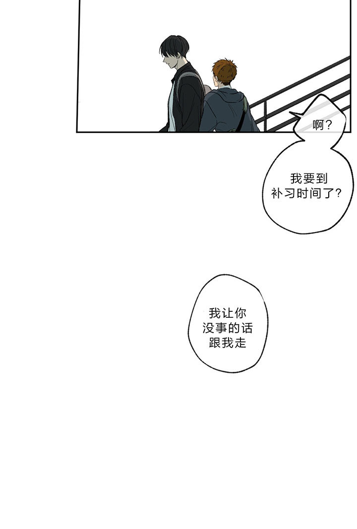 《走失的夜(第I+II季)》漫画最新章节第16话免费下拉式在线观看章节第【33】张图片