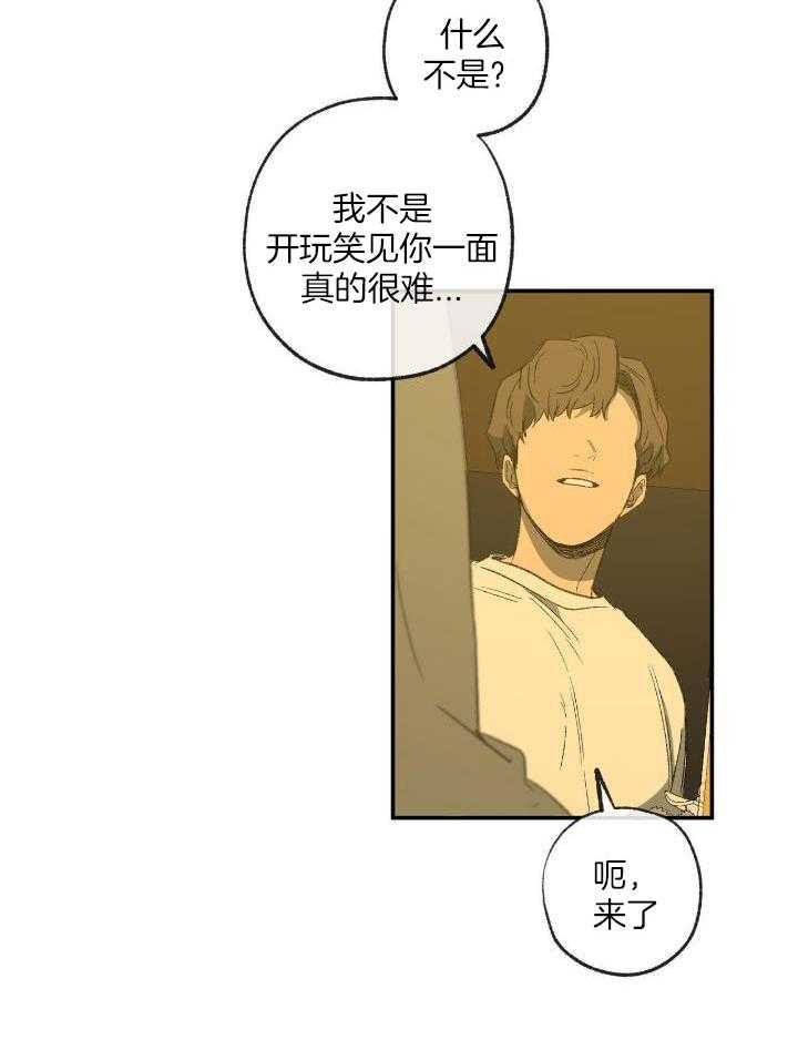 《走失的夜(第I+II季)》漫画最新章节第205话免费下拉式在线观看章节第【11】张图片