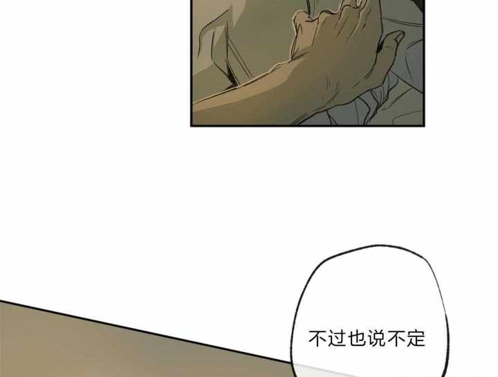 《走失的夜(第I+II季)》漫画最新章节第136话免费下拉式在线观看章节第【28】张图片