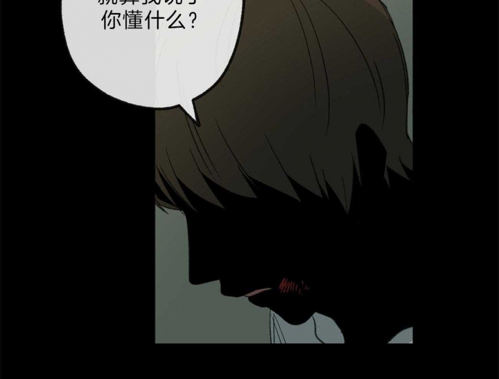 《走失的夜(第I+II季)》漫画最新章节第132话免费下拉式在线观看章节第【4】张图片