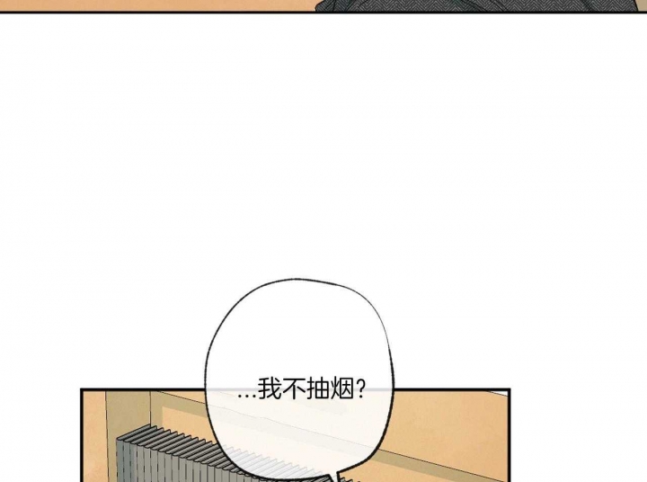 《走失的夜(第I+II季)》漫画最新章节第148话免费下拉式在线观看章节第【45】张图片