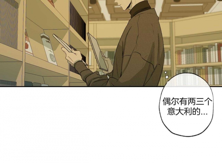 《走失的夜(第I+II季)》漫画最新章节第150话免费下拉式在线观看章节第【38】张图片