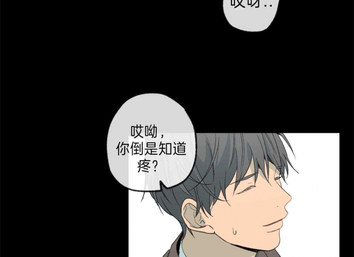 《走失的夜(第I+II季)》漫画最新章节第125话免费下拉式在线观看章节第【40】张图片