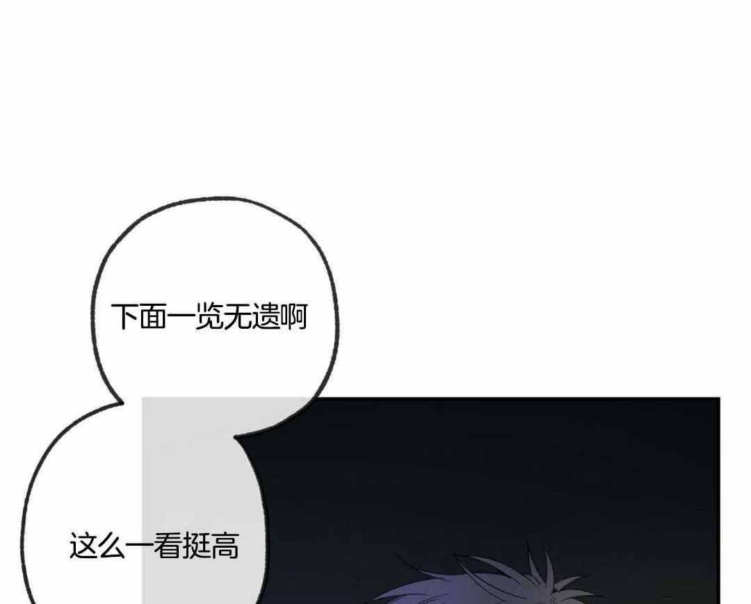 《走失的夜(第I+II季)》漫画最新章节第233话免费下拉式在线观看章节第【3】张图片