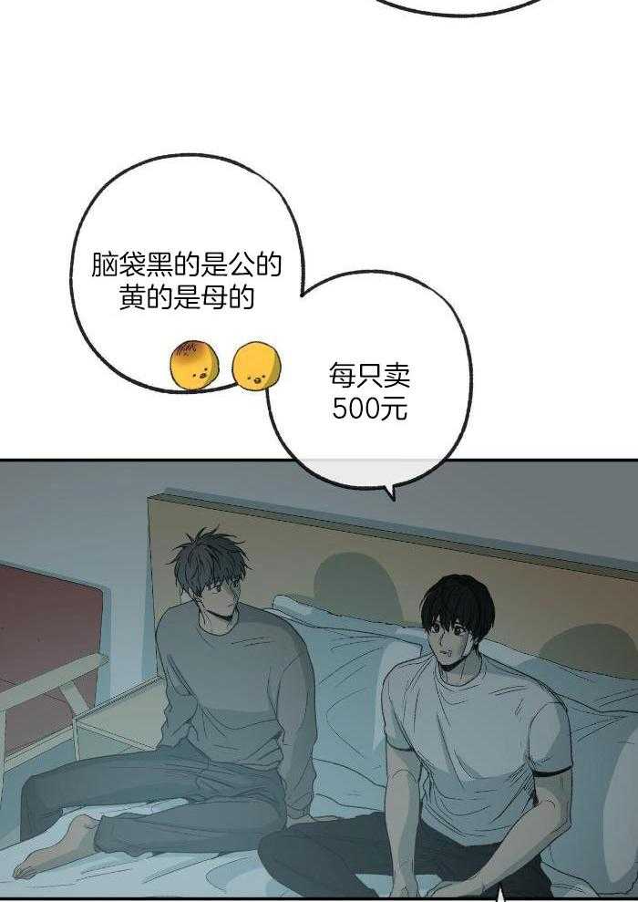 《走失的夜(第I+II季)》漫画最新章节第221话免费下拉式在线观看章节第【19】张图片