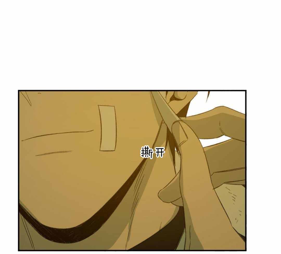 《走失的夜(第I+II季)》漫画最新章节第236话免费下拉式在线观看章节第【28】张图片